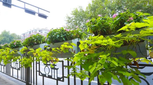 玻璃鋼花（huā）盆（pén）