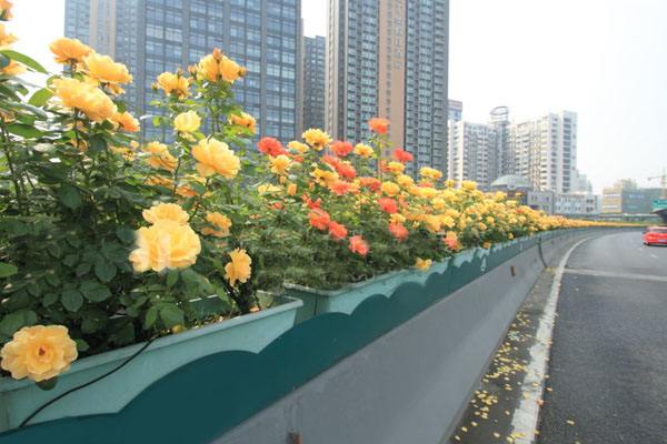 玻（bō）璃鋼花盆