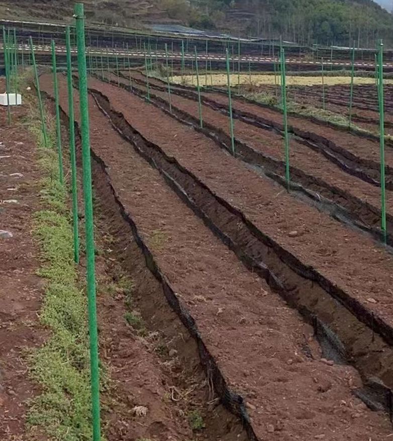 碳纖維樹木支撐架3 碳纖維樹木支撐架(jià)3