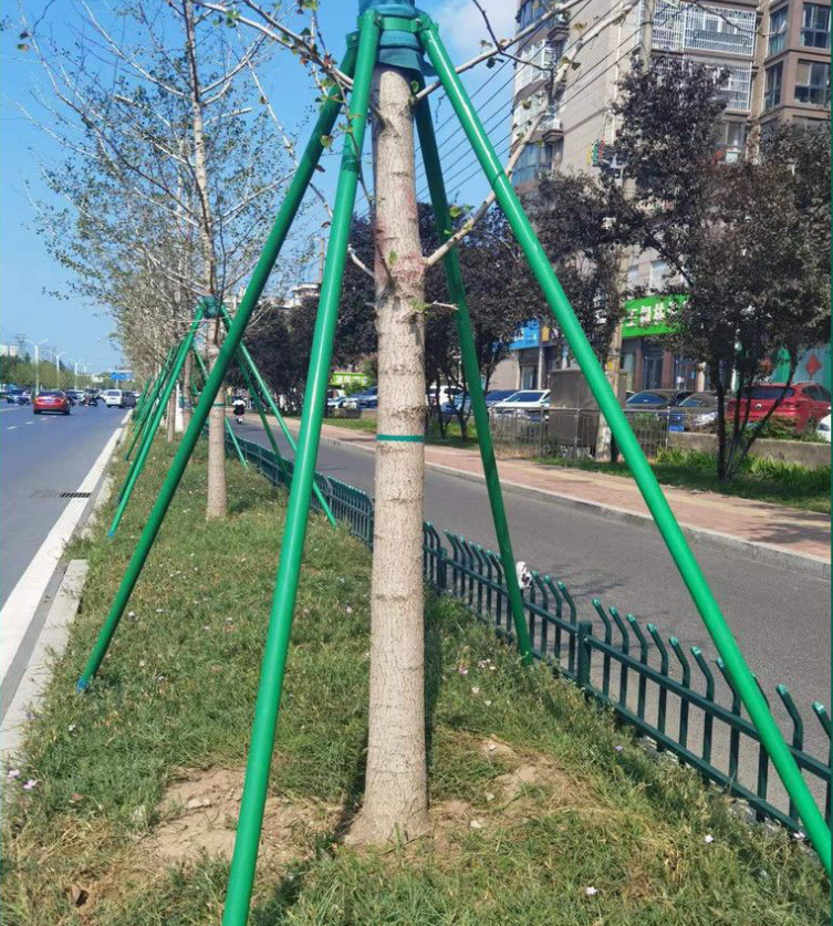 碳纖維樹木支撐架6