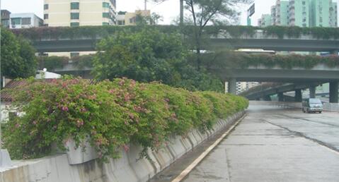 成(chéng)品花箱