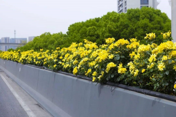 fbeeb66f37ee475f9831e7e5c98ec679_副本 fbeeb66f37ee475f9831e7e5c98ec679_副本