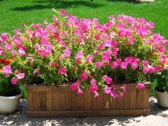 立體花（huā）箱為城市增添風采（cǎi）_聚氨酯花箱型材